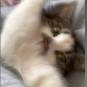 Meet your Posher, Daniel